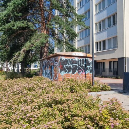 Alkuperäinen